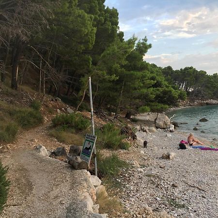 Blue Shell Trogir Apartment Δωμάτιο φωτογραφία